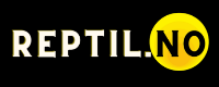 Reptil