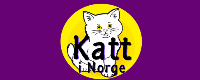 Katt i Norge