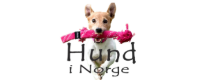 Hund i Norge